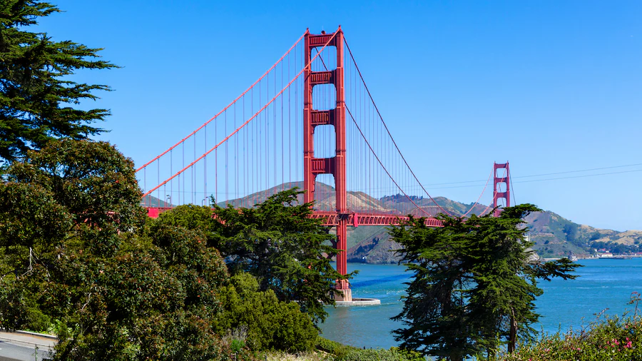 "California"