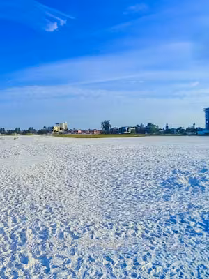 Beach hotels in Siesta Key
