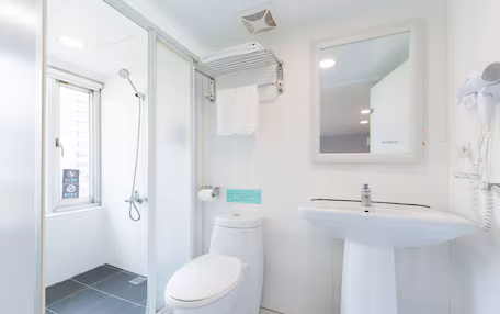 A bathroom with a toilet, shower, sink, and a mirror.