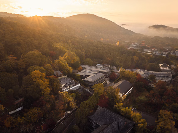 An aerial view of a residential area with traditional architecture, surrounded by dense forest and hills.