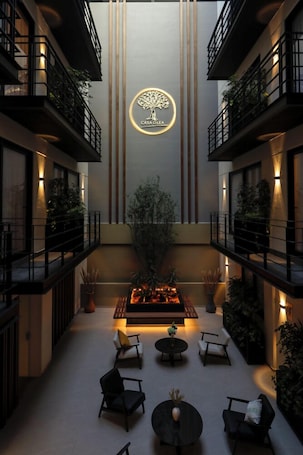 Casa Olea