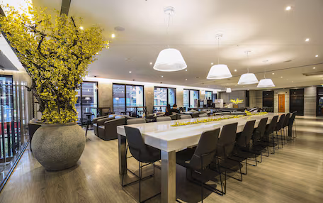 A modern conference room with a long table, black chairs, and a large potted plant.