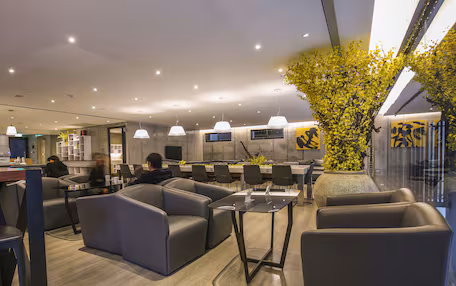 A modern interior with seating arrangements, a dining area, and a large plant.