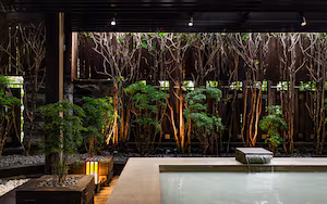 A serene indoor garden with a small pond, wooden structures, and lush greenery.