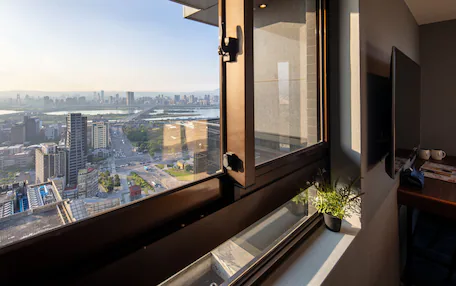 A modern room with a large window overlooking a cityscape, a potted plant, and a flat-screen TV mounted on the wall.
