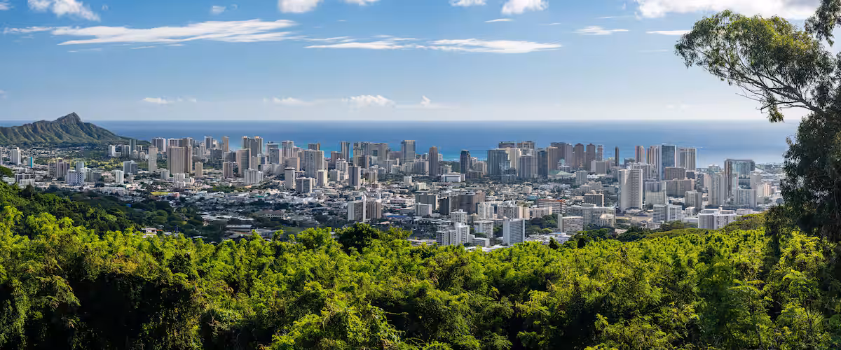 A cityscape with a prominent mountain in the background and dense greenery in the foreground.
