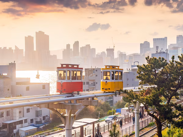 A cityscape with a river, modern buildings, and a tram in the foreground.