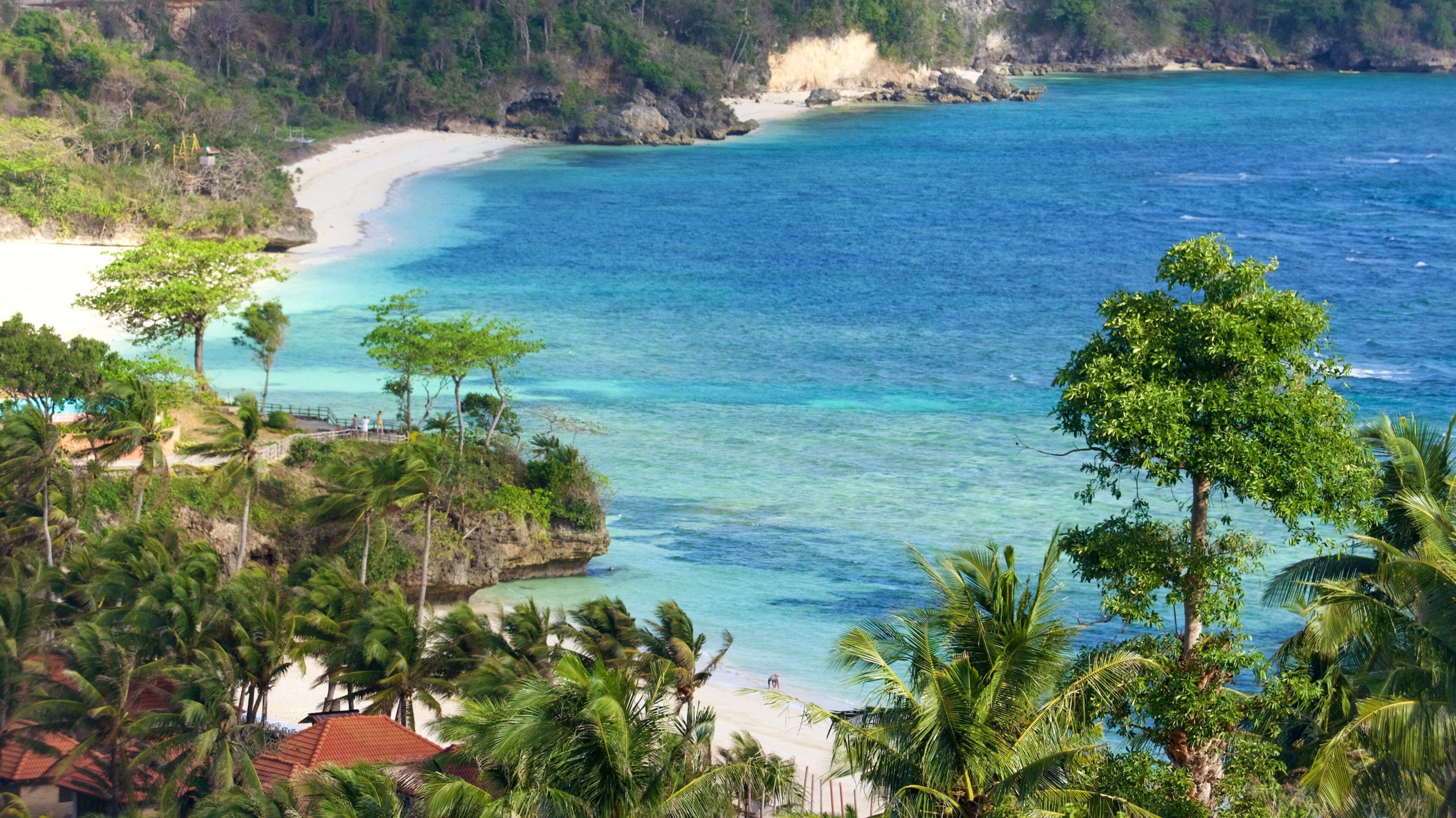 A tropical beach with clear turquoise waters, palm trees, and a sandy shore.